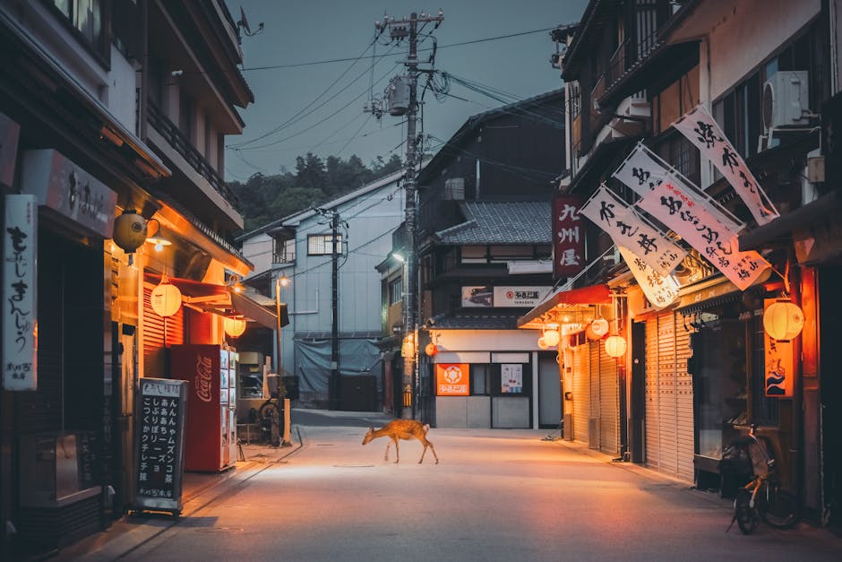 A deer walks down a tranquil street in Hatsukaichi, Japan, surrounded by glowing lanterns and traditional architecture.
