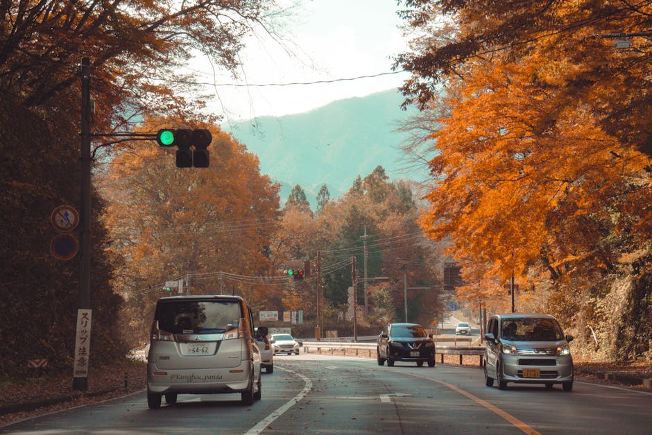 Picturesque autumn scene in Nikko, Japan featuring vibrant foliage and cars against mountains.