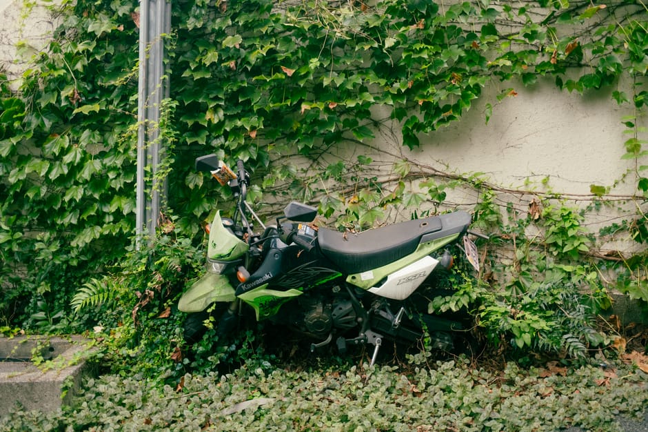 An abandoned motorcycle entangled in lush overgrowth in a secluded Tokyo alley.