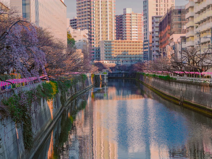 Scenic spring view of a Tokyo river lined with cherry blossoms and city buildings.