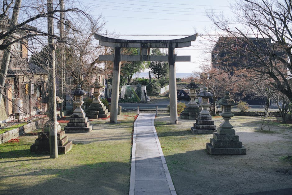 Serene Japanese garden in Shiga with a traditional torii gate and stone lanterns under sunlight.