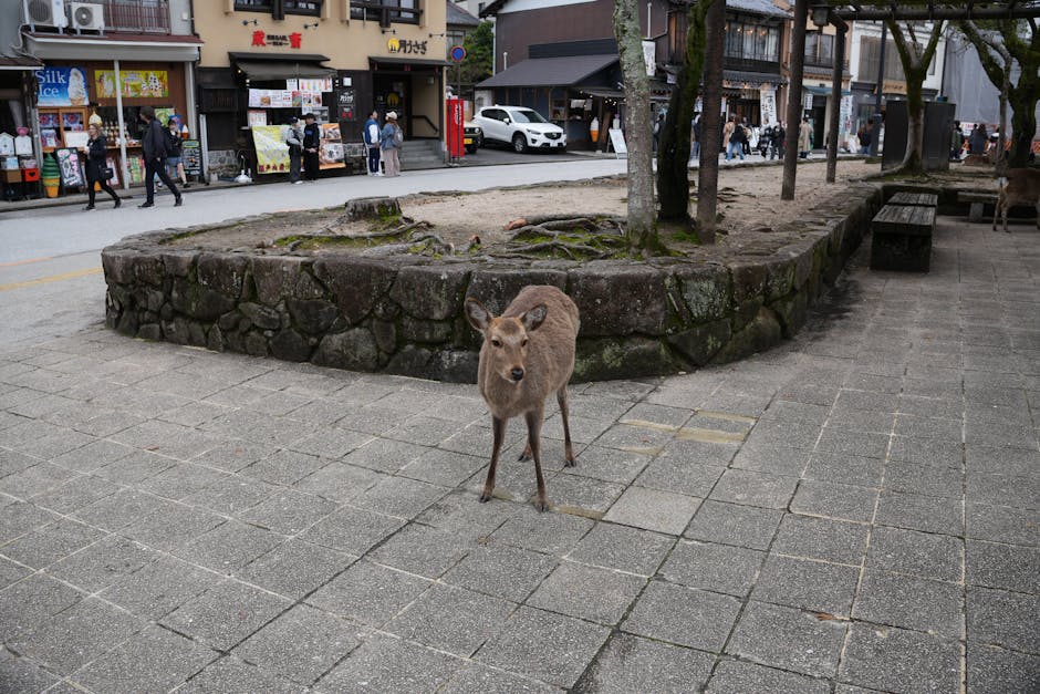 A deer roams an urban park with historical shops in the background, blending nature and city life.