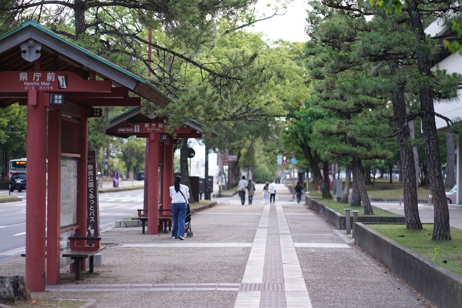 Peaceful urban street featuring bus stops amidst greenery, ideal for public transport themes.